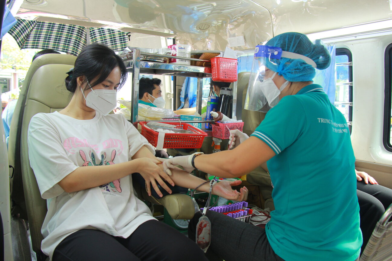 HUFI – Đồi hoa Mặt trời